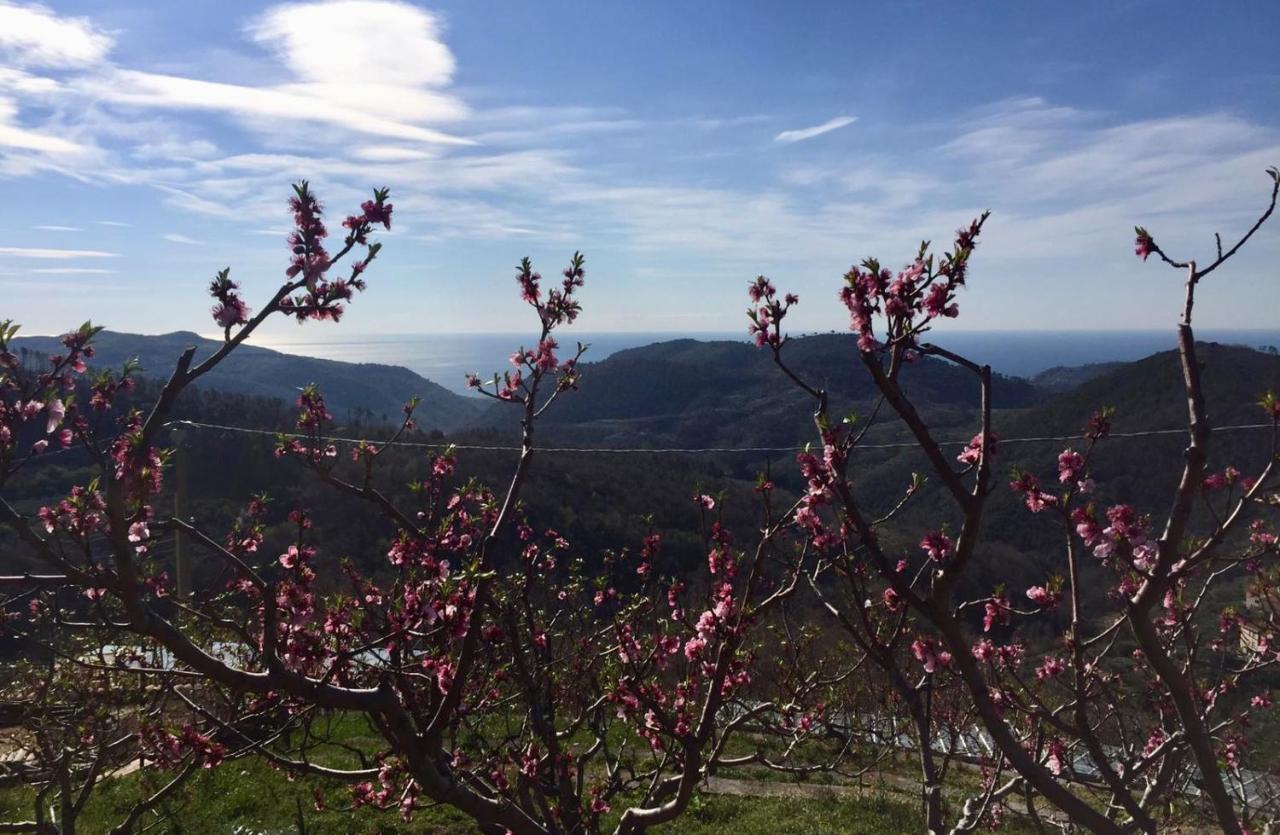 Agriturismo Lavalleggia Tovo San Giacomo Екстер'єр фото