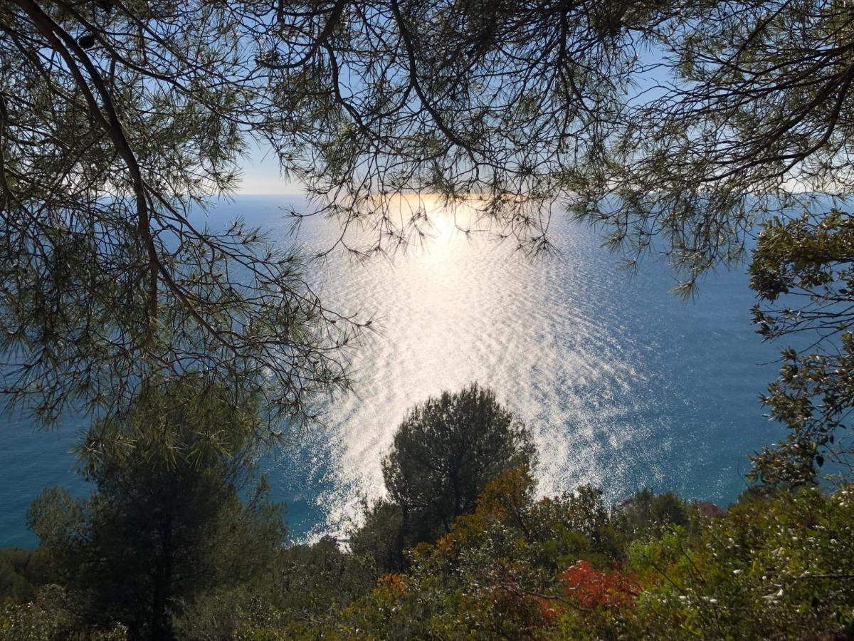 Agriturismo Lavalleggia Tovo San Giacomo Екстер'єр фото