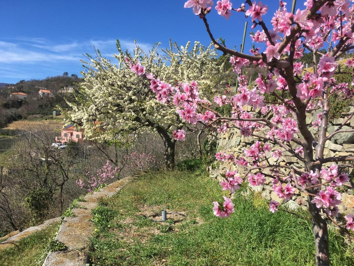 Agriturismo Lavalleggia Tovo San Giacomo Екстер'єр фото