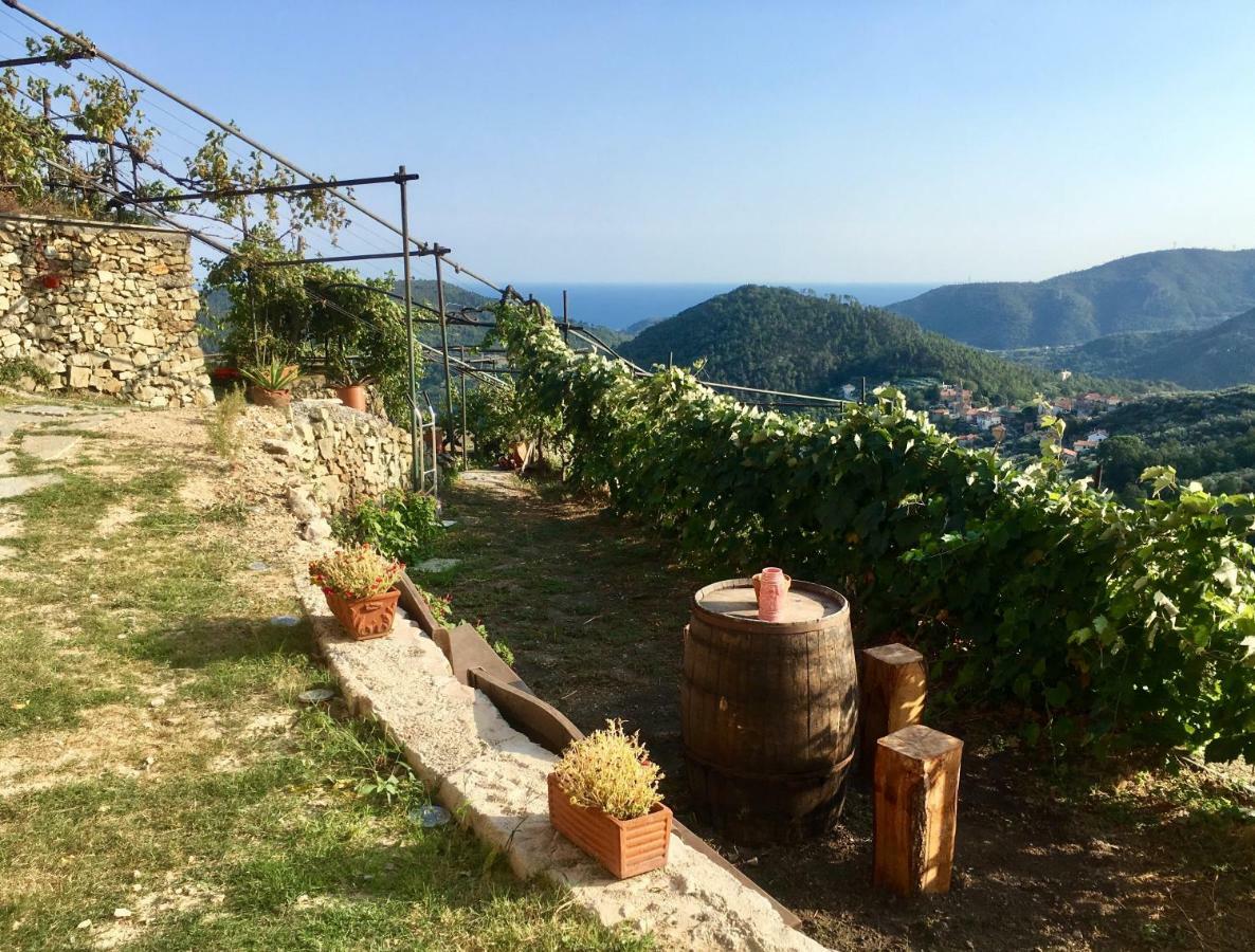 Agriturismo Lavalleggia Tovo San Giacomo Екстер'єр фото