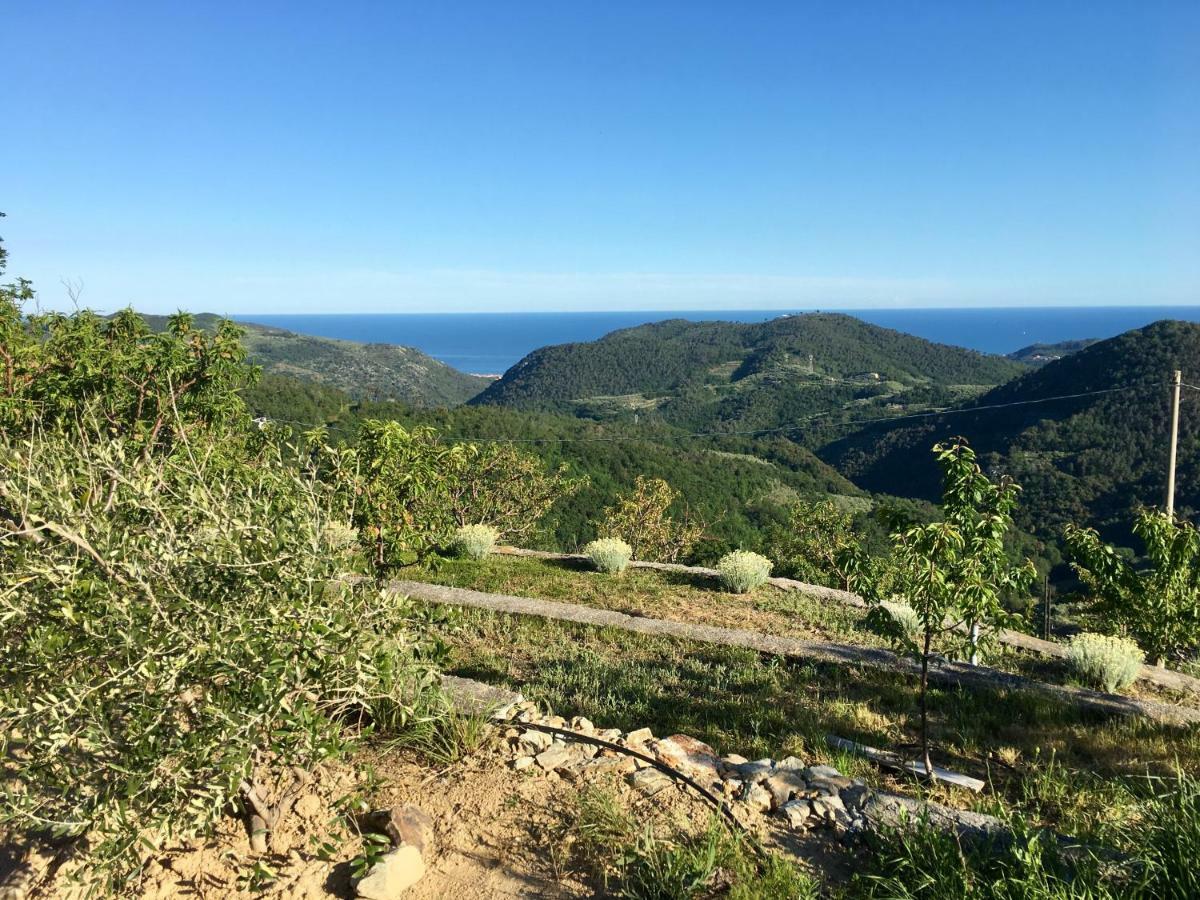 Agriturismo Lavalleggia Tovo San Giacomo Екстер'єр фото