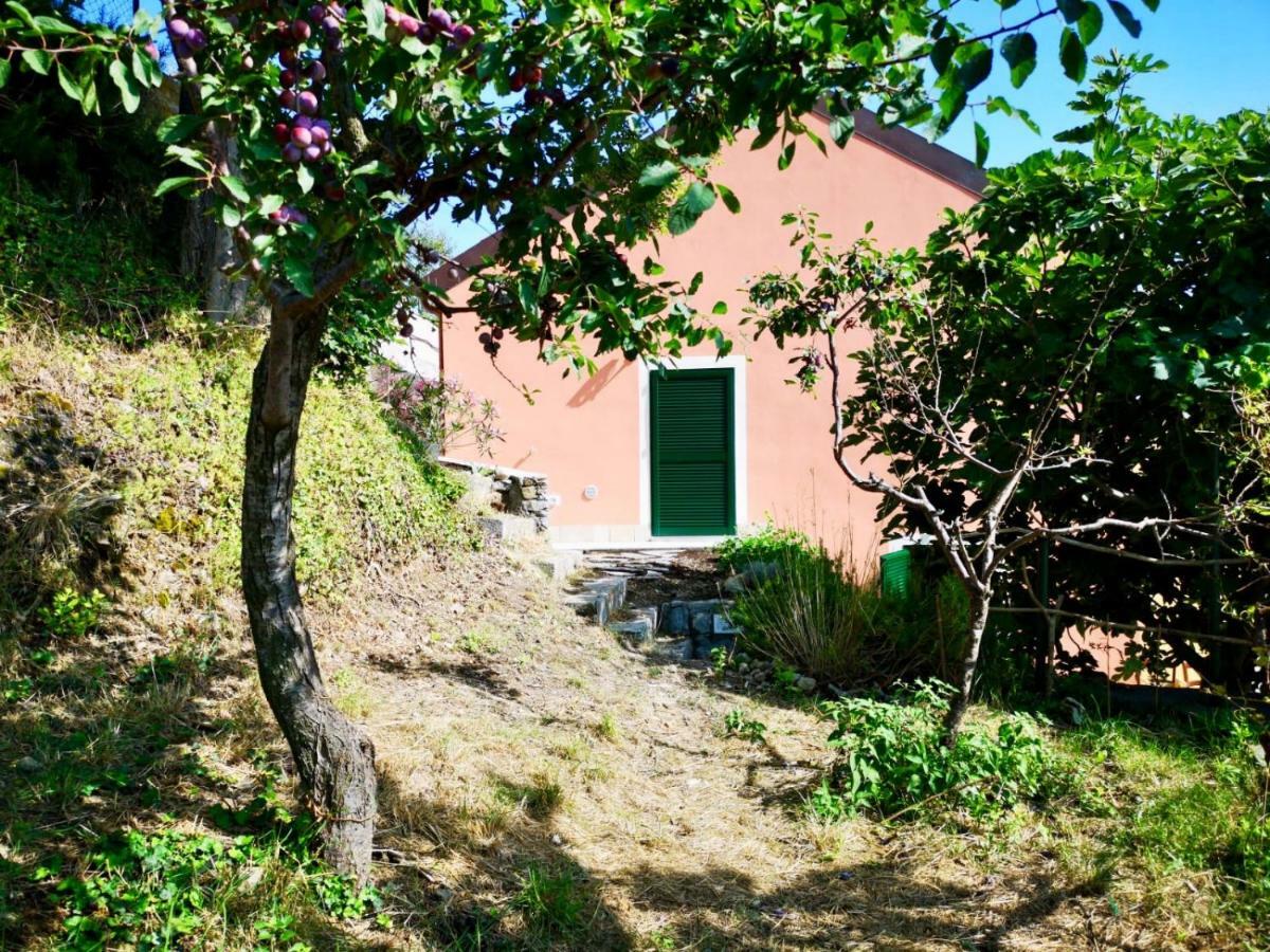 Agriturismo Lavalleggia Tovo San Giacomo Екстер'єр фото