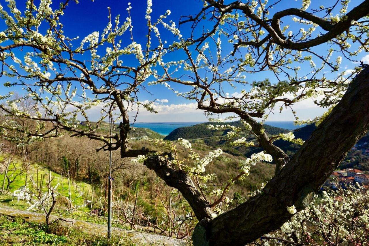 Agriturismo Lavalleggia Tovo San Giacomo Екстер'єр фото